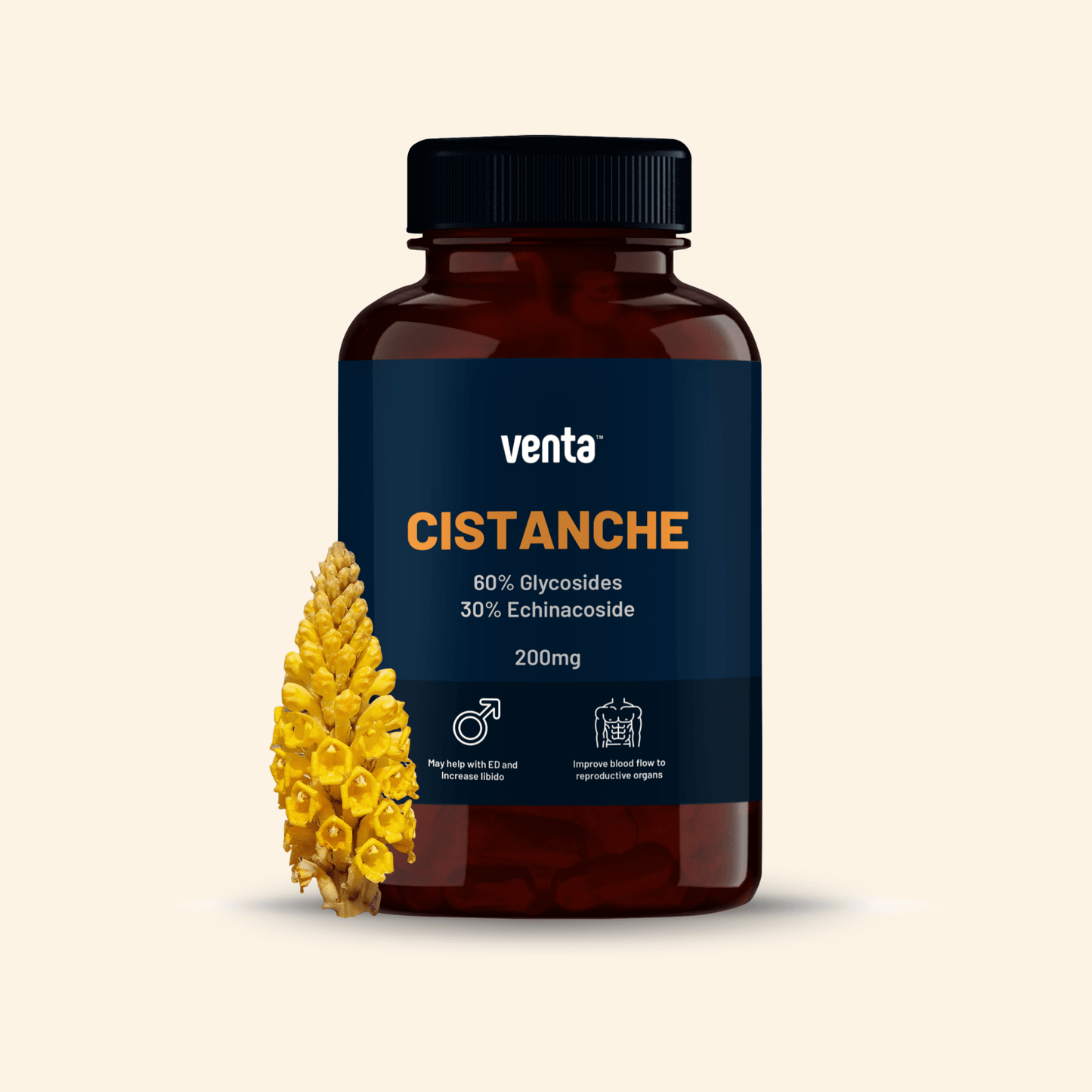 Cistanche Tubulosa - Anti-ageing, fertility, Increased Blood Flow - Venta