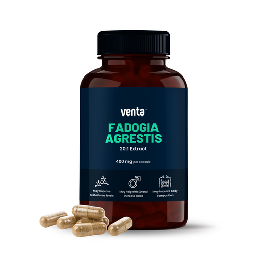 Fadogia Agrestis - Testosterone and body composition